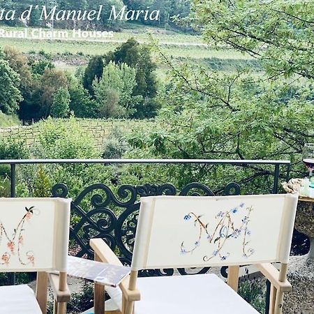Amarante-Quinta D'Manuel Maria, Rural Charm Houses Zewnętrze zdjęcie