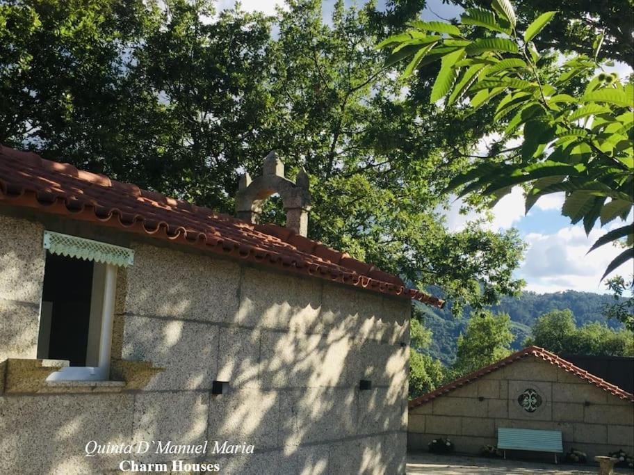 Amarante-Quinta D'Manuel Maria, Rural Charm Houses Zewnętrze zdjęcie